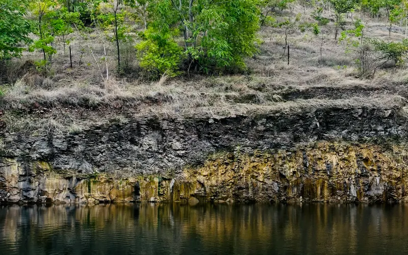 Project GreenRoots, photograph 2.