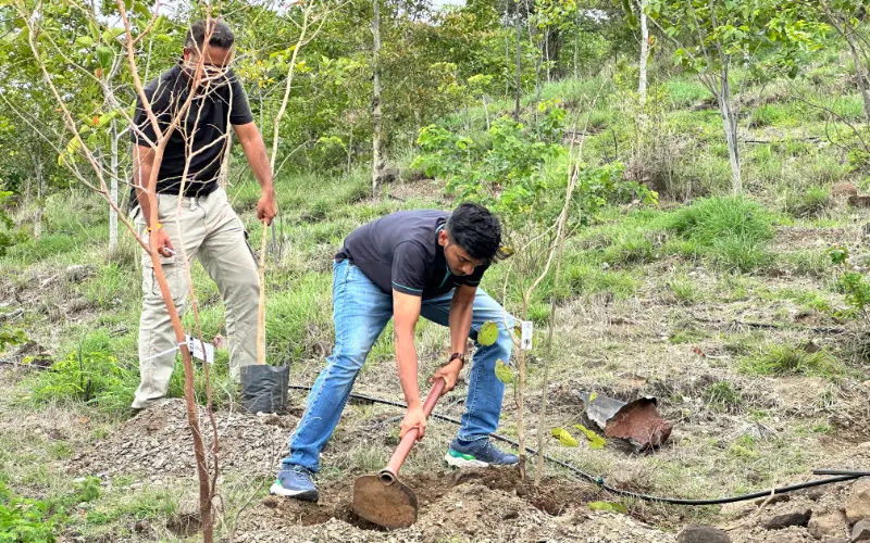 Project GreenRoots, photograph 6.