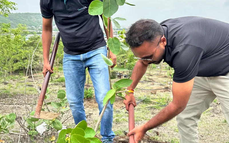 Project GreenRoots, photograph 7.