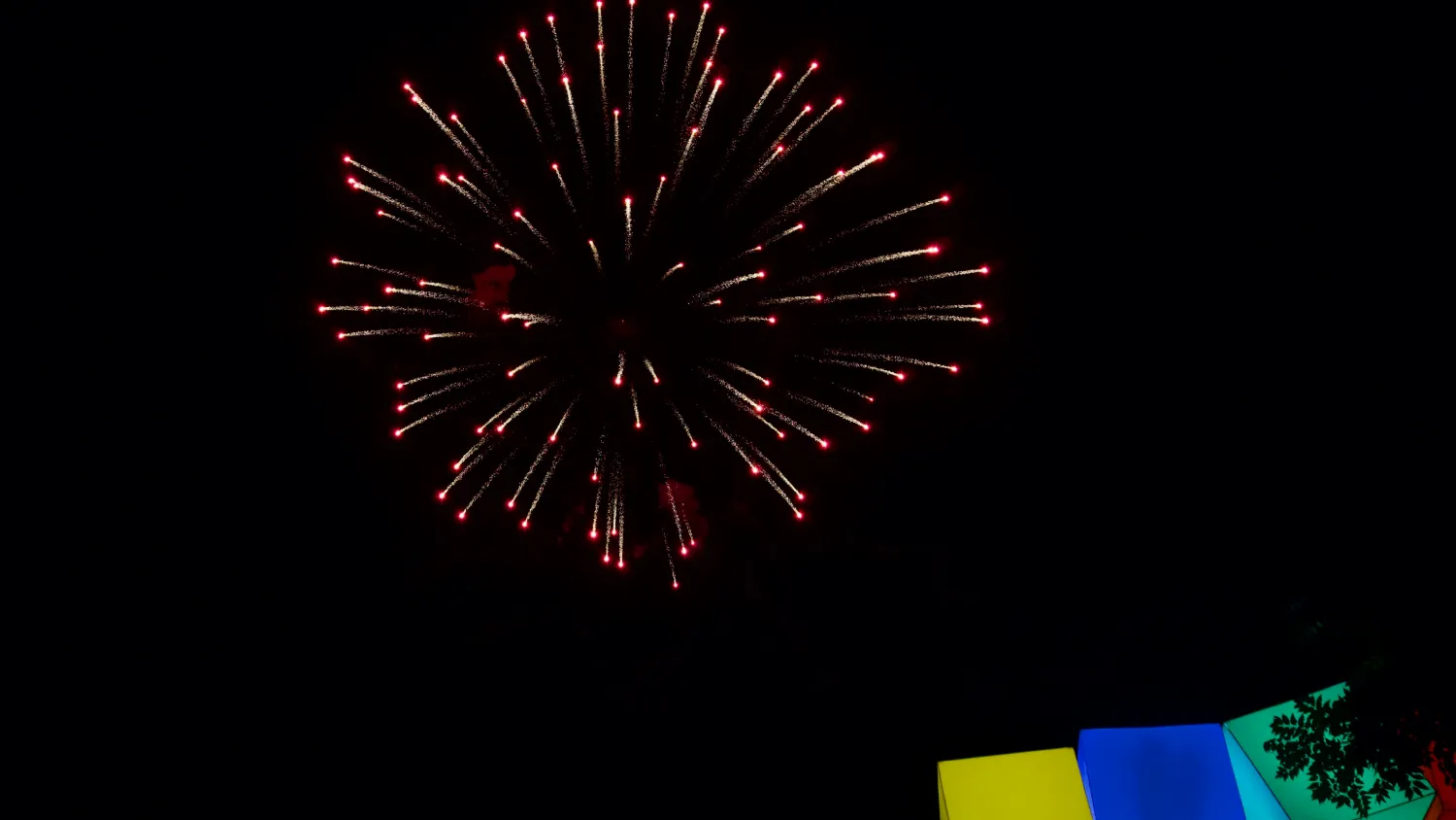 A firework bursting against a night sky.